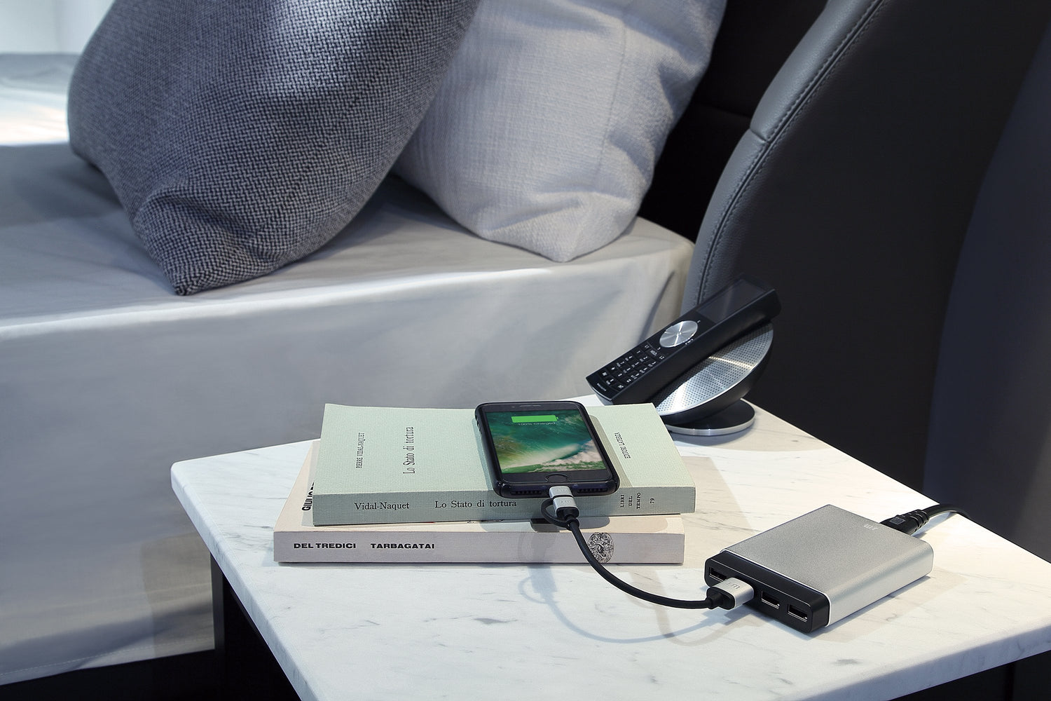AluCharge EU Power Cord